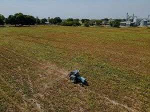 Eurostat: România se află printre ţările UE cu cele mai mari creşteri ale preţurilor inputurilor agricole